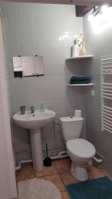Studio Orleans Chatelet Exteriér fotografie